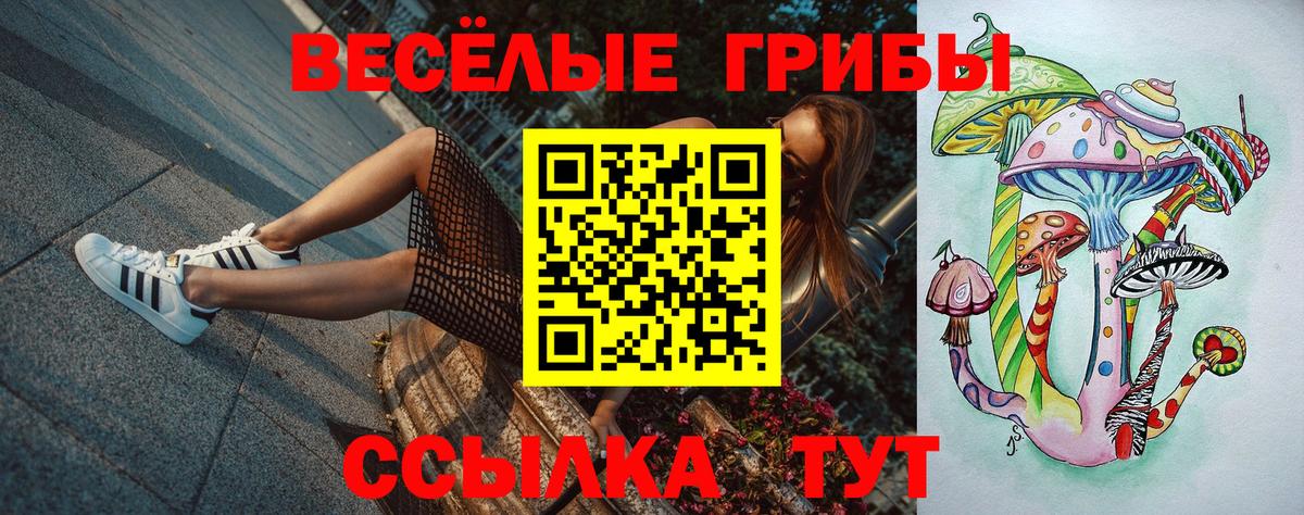 Галлюциногенные грибы ЛСД Дедовск